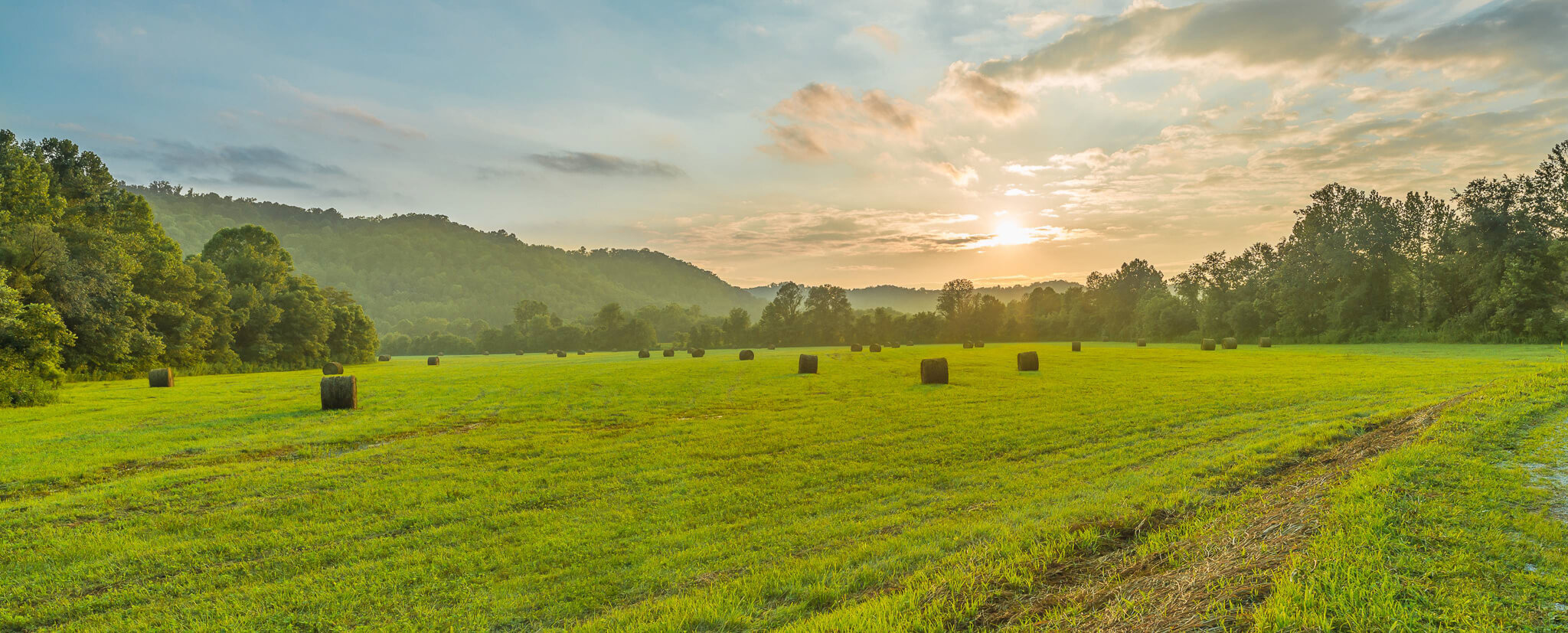 Land and Real Estate Available for Auction